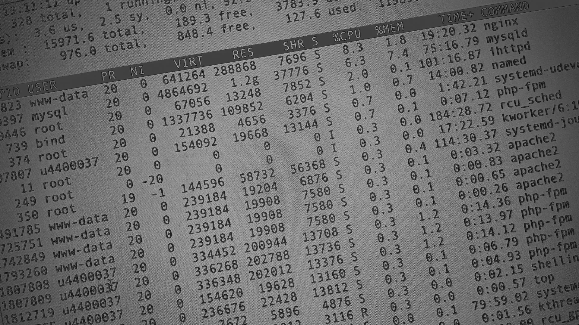 Настройка сервера в Звенигово