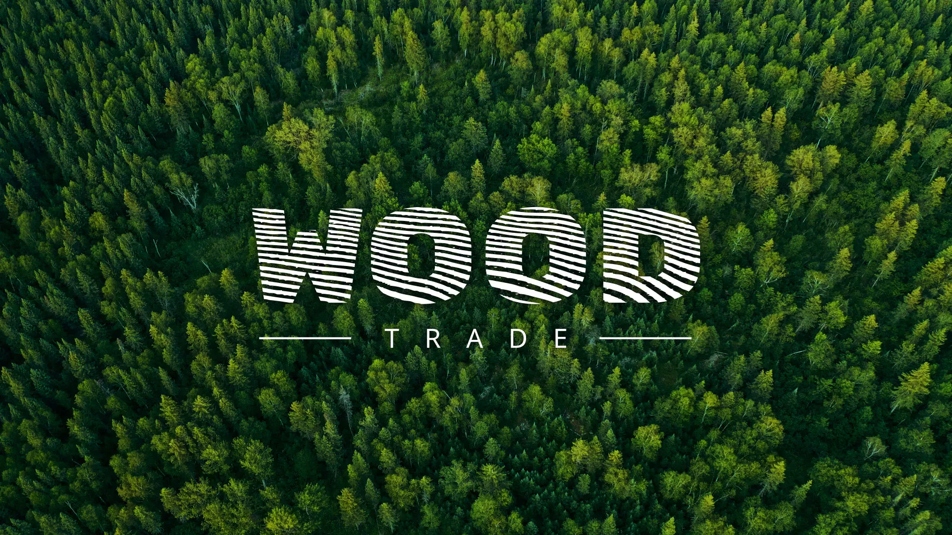 Разработка интернет-магазина компании «Wood Trade» в Звенигово