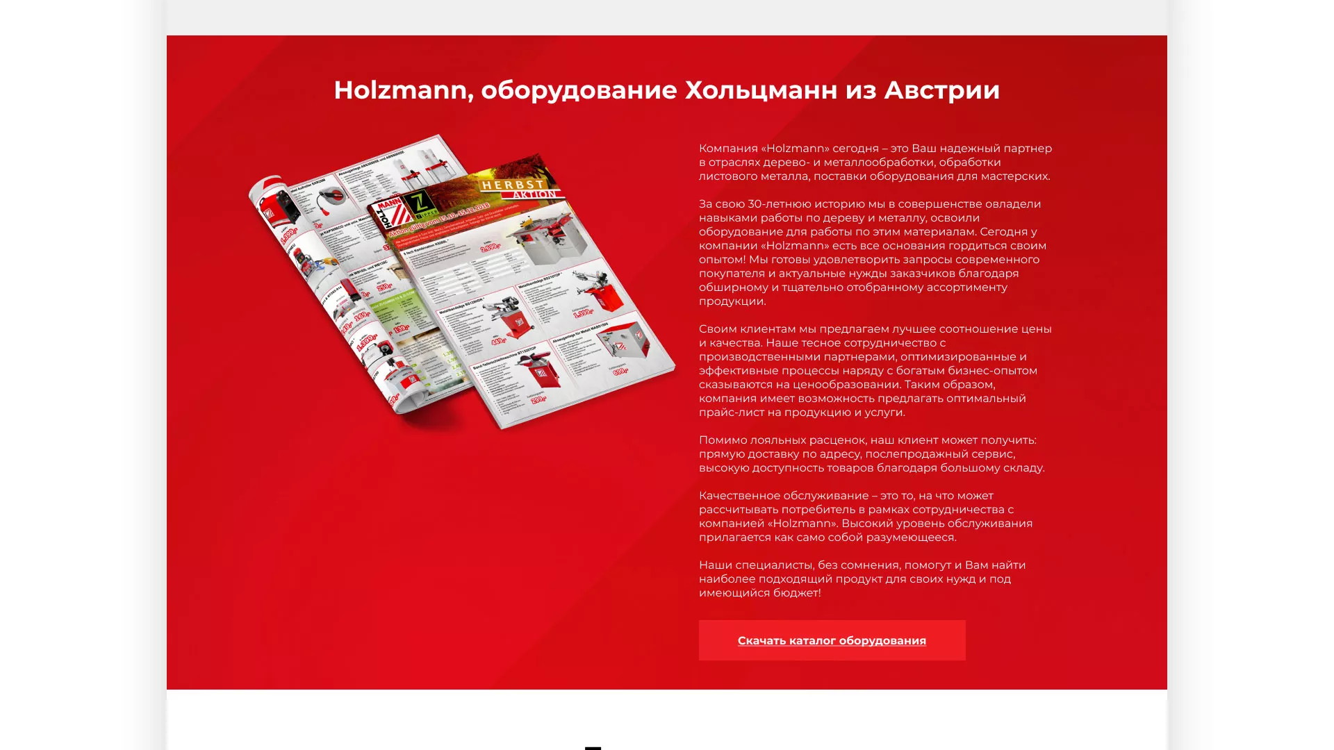 Создание сайта компании «HOLZMANN Maschinen GmbH» в Звенигово