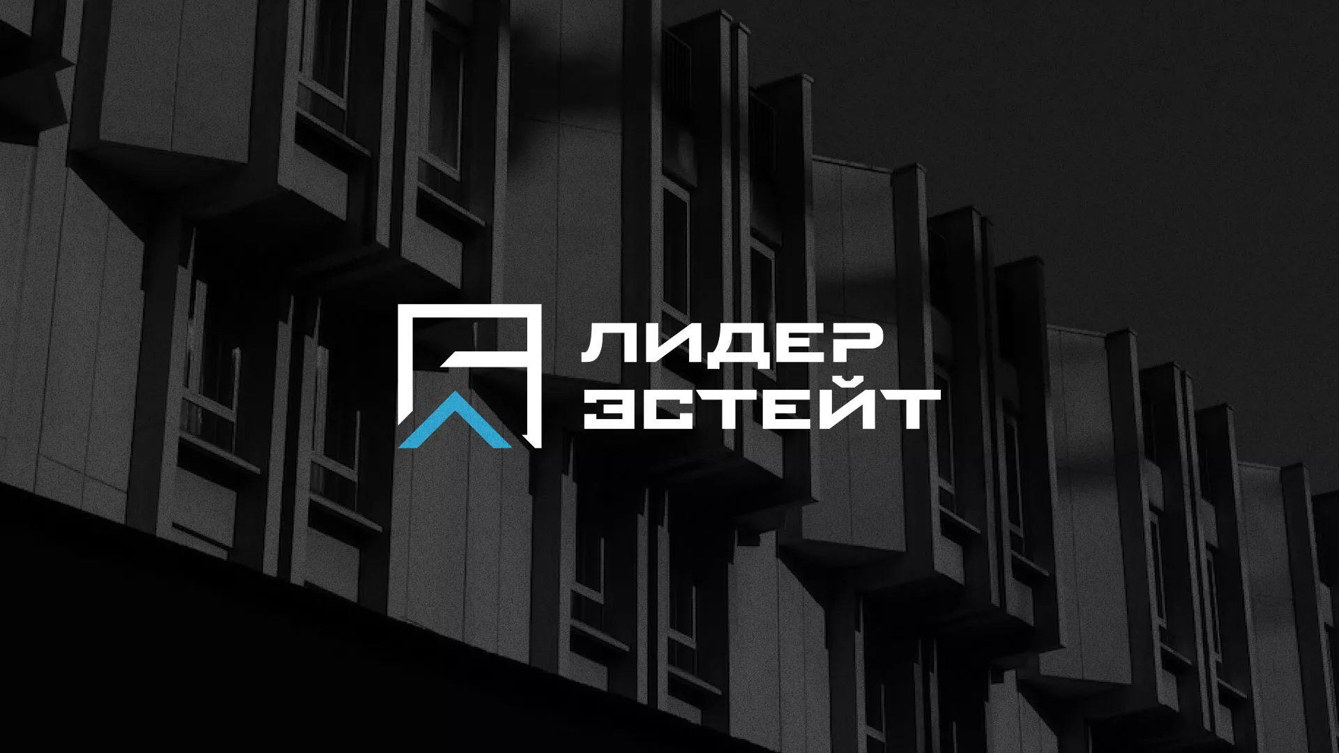 Разработка логотипа агентства недвижимости «Лидер Эстейт» в Звенигово